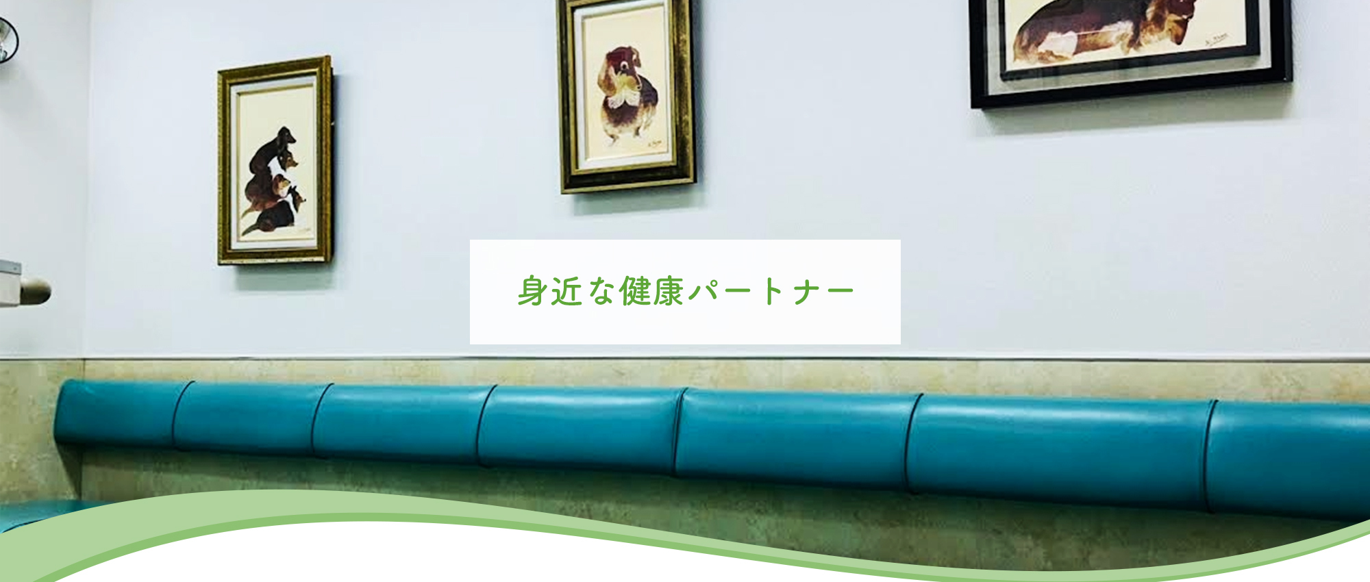 加茂皮フ科クリニック　内観
